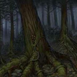 Warhammer sombre forest