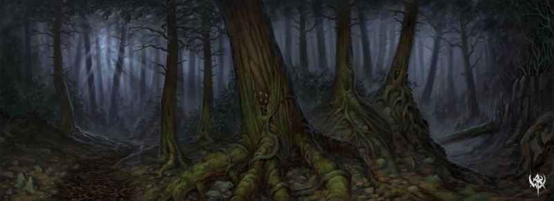 Warhammer sombre forest